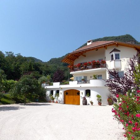 St. Josefhof Apartment Caldaro Exterior photo